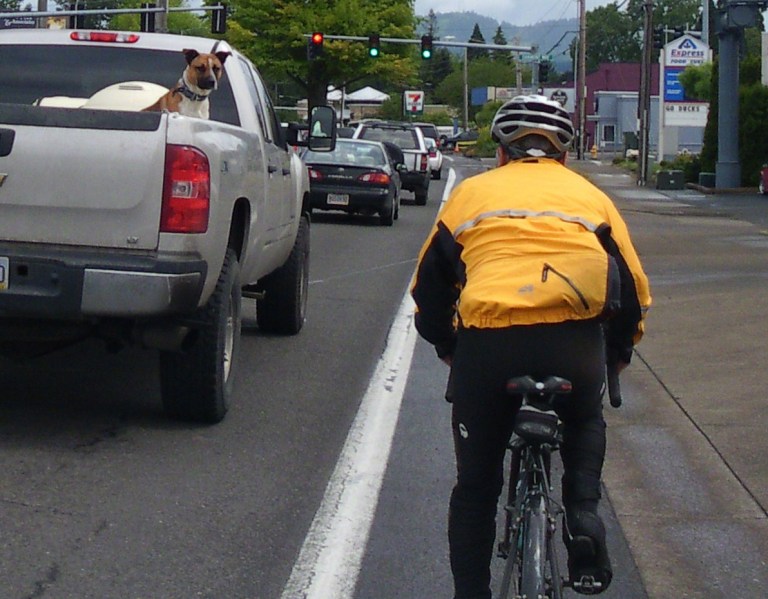 Dog in pickup truck stares down a cyclist in the bike lane