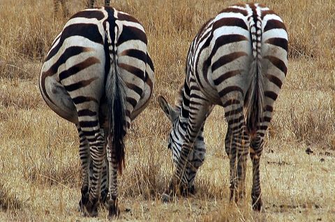 It's always friendlier with two